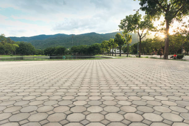 Reasons to Select Us for Your Driveway Paving Requirements in Paris, TN