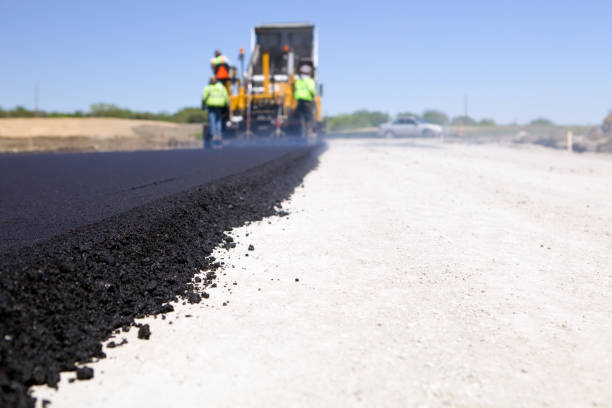 Best Driveway Paver Repair  in Paris, TN